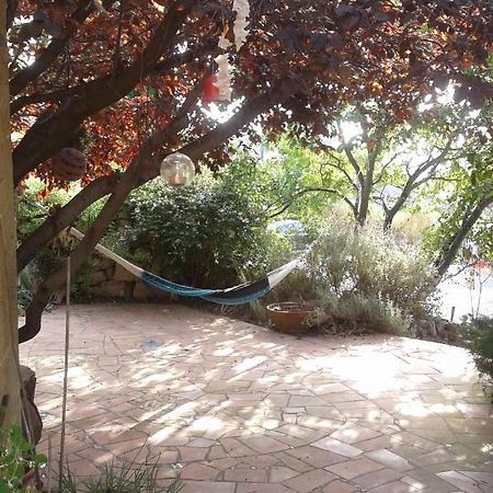 Bed and Breakfast Atelier Pasquer Fitou Exterior foto