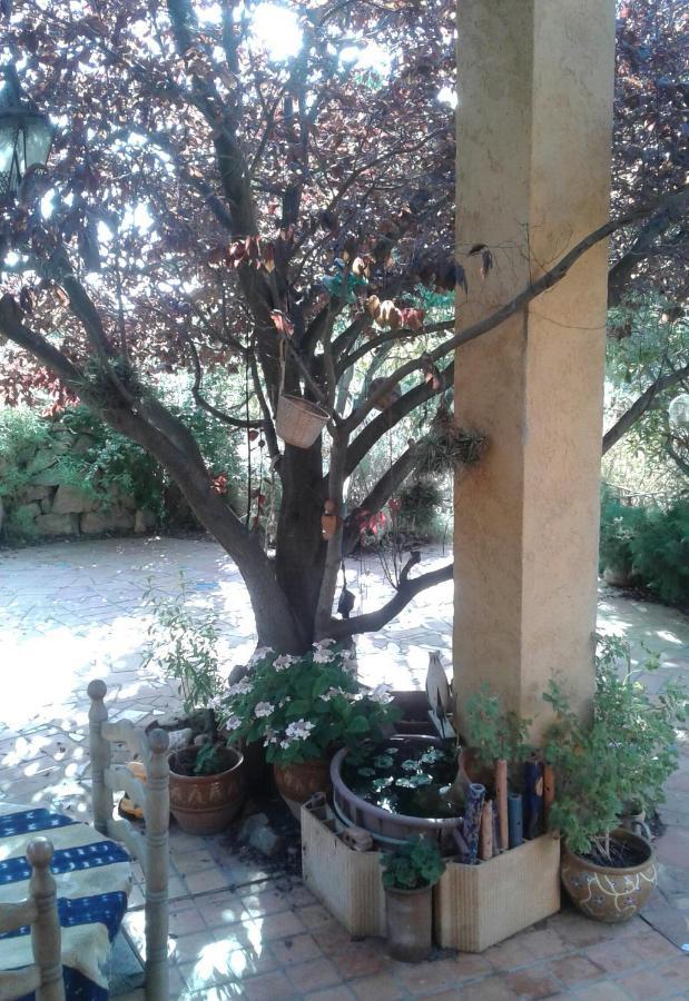 Bed and Breakfast Atelier Pasquer Fitou Exterior foto
